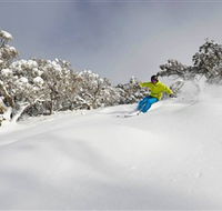 Mt Buller and Mt Stirling Alpine Resort - St Kilda Accommodation