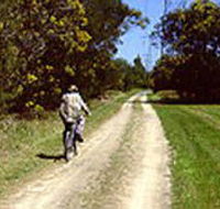 Koomba Park - St Kilda Accommodation