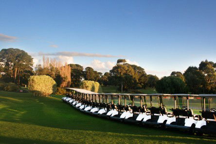 Rosebud Country Club - St Kilda Accommodation 0