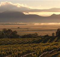 Montara Wines - St Kilda Accommodation