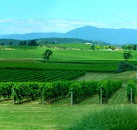 Acacia Ridge Vineyard - St Kilda Accommodation