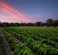 Amherst Winery - St Kilda Accommodation