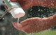 Endota Torquay - thumb 0