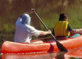 Yarra Bend Park - St Kilda Accommodation 0