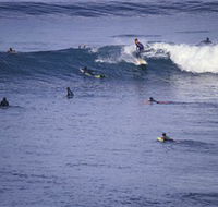 Point Addis Marine National Park - St Kilda Accommodation