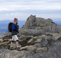 Mount Buffalo National Park - St Kilda Accommodation