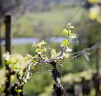 Lindemans Karadoc Winery - St Kilda Accommodation