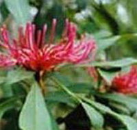 Alfred National Park - St Kilda Accommodation