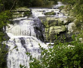 Agnes Falls Scenic Reserve - St Kilda Accommodation 0