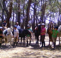 Bellarine Horse Riding Centre - St Kilda Accommodation