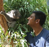 Healesville Sanctuary - St Kilda Accommodation