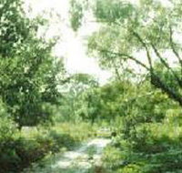 Holey Plains State Park - St Kilda Accommodation