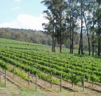 Piedmont Vineyard - St Kilda Accommodation