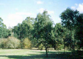 Sweeneys Flat - St Kilda Accommodation 0