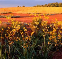 Royal Botanic Gardens Victoria Cranbourne - St Kilda Accommodation