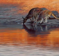 Steve Morvell Wildlife Art - St Kilda Accommodation