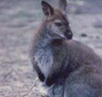 Churchill National Park - St Kilda Accommodation