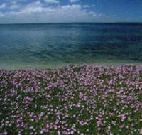 The Lakes National Park - St Kilda Accommodation
