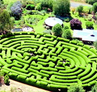 Wandiligong Maze - St Kilda Accommodation