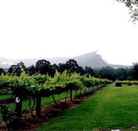 Cambewarra Estate Wines - St Kilda Accommodation