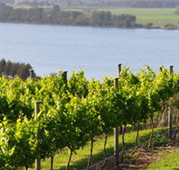 Two Figs Winery - St Kilda Accommodation