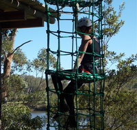 Trees Adventure Shoalhaven - St Kilda Accommodation