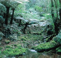 Deua National Park - St Kilda Accommodation