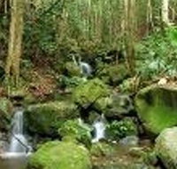 Budderoo National Park - St Kilda Accommodation