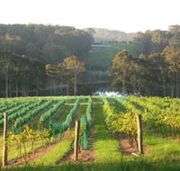 Tilba Valley Wines - St Kilda Accommodation