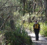 Barren Grounds Nature Reserve - St Kilda Accommodation