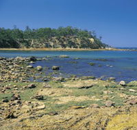 Aslings Beach - St Kilda Accommodation