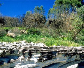 Abrahams Bosom Reserve - St Kilda Accommodation 0