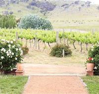 Brindabella Hills Winery - St Kilda Accommodation