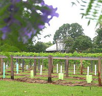 Douglas Vale Historic Homestead  Vineyard - St Kilda Accommodation