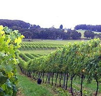 Banjo's Run Winery and Vineyard - St Kilda Accommodation