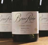 Briar Ridge Vineyard - St Kilda Accommodation