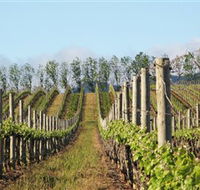 Philip Shaw Wines - St Kilda Accommodation
