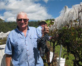 Razorback Ridge Wines - St Kilda Accommodation 8