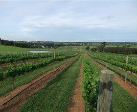 Razorback Ridge Wines - St Kilda Accommodation 1