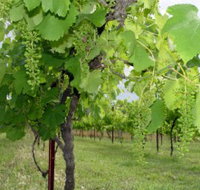Holland Wines - St Kilda Accommodation