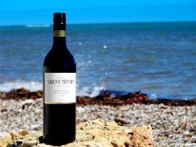 Wehl's Mount Benson Vineyards - St Kilda Accommodation 2