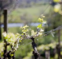 Mount Cole WineWorks - St Kilda Accommodation