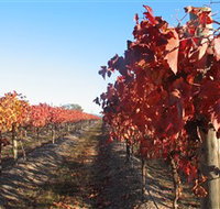 Kooyonga Creek Wines - St Kilda Accommodation