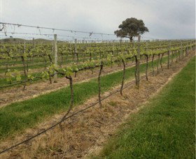Indigo Vineyard - St Kilda Accommodation 1