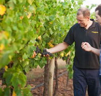 Fratin Brothers Vineyard - St Kilda Accommodation
