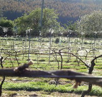 Three Willows Vineyard - St Kilda Accommodation