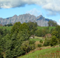 Lake Barrington Vineyard - St Kilda Accommodation