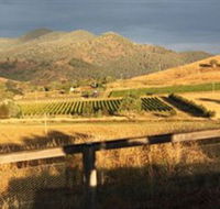 Optimiste Wines - St Kilda Accommodation