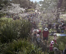 Royal Botanic Gardens Victoria - St Kilda Accommodation 7