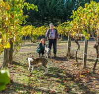 Little River Wines of Taggerty - St Kilda Accommodation